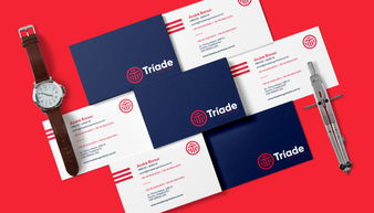專業(yè)塑造信任 Triade工業(yè)品檢測企業(yè)品牌VI形象設(shè)計(jì)與企業(yè)形象策劃